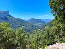 View across the vercour