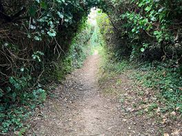 Walking to croyde.