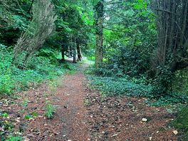Looking up the trail to the campsite from the gate.