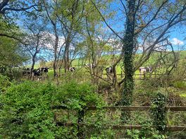 Walking the grounds, stunning views.