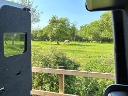 The view from our campervan