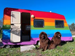 One of the many caravans on site!