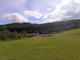 The site