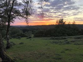 View from site