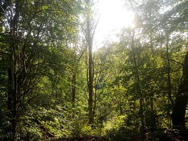 Walk around keil den