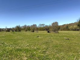 Family camping field