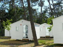 Cabins