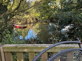 Pond view