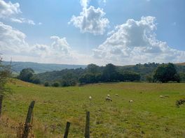 Nearby walks