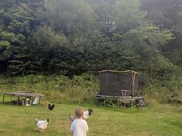 The play area