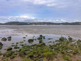 Low tide