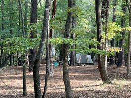 Forest sites