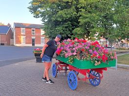 Lovely flowers all around
