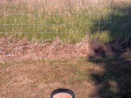 Coffee and view from my pitch