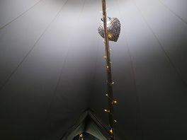 Twinkle lights