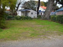 Shaded grass pitch