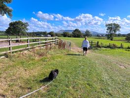 Two big fields to walk the dogs.