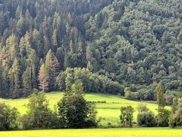 Beautiful landscape