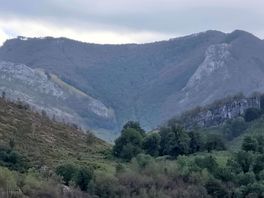 View from site