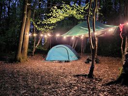 Even wild camps can have twinkle lights