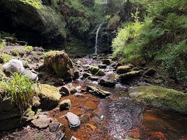Waterfall in kielder forest