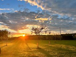 Zonsondergang vanaf camping plek