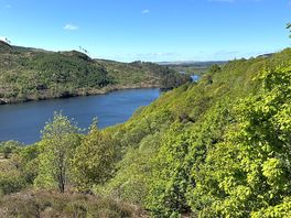 View over loch trool ….. not from the site!!!