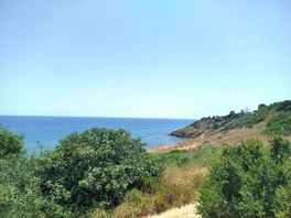 Panorama