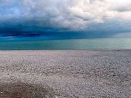 Mare