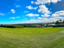 Views