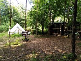 Our pitch in the woods, with all mod cons!