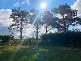 Morning sunshine!
