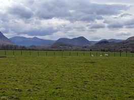 View from just outside the campsite