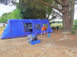 Our pitch