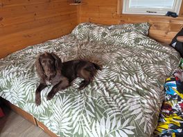 Massive bed!