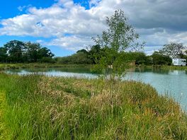 Lake view