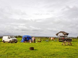 Electric grass pitch
