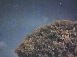Zero light pollution, so the best location for star spotting!