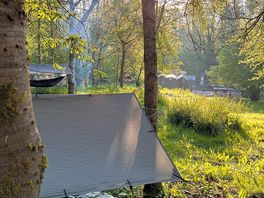 Our pitch in the woods