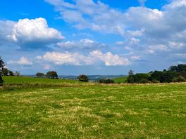 Next field from our camping field.