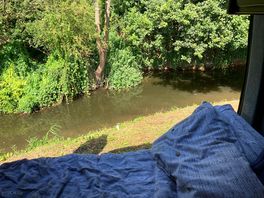 Our morning view
