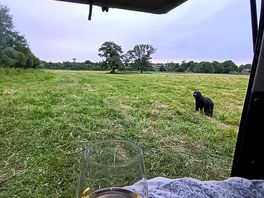Camping meadow