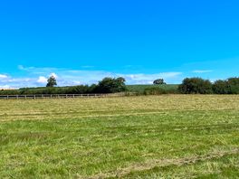 The camping field before mowing