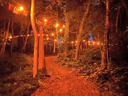 Woodland walk to the lodge