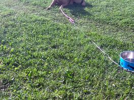 Izzy chilling