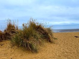 The beach 2 mins away
