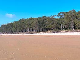Beach outside campsite