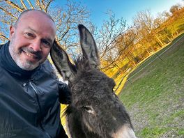 A furry friend
