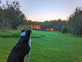 Sunset over sunset yurt