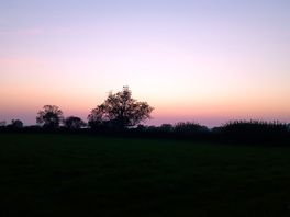 Taken in the field next to the paddock.